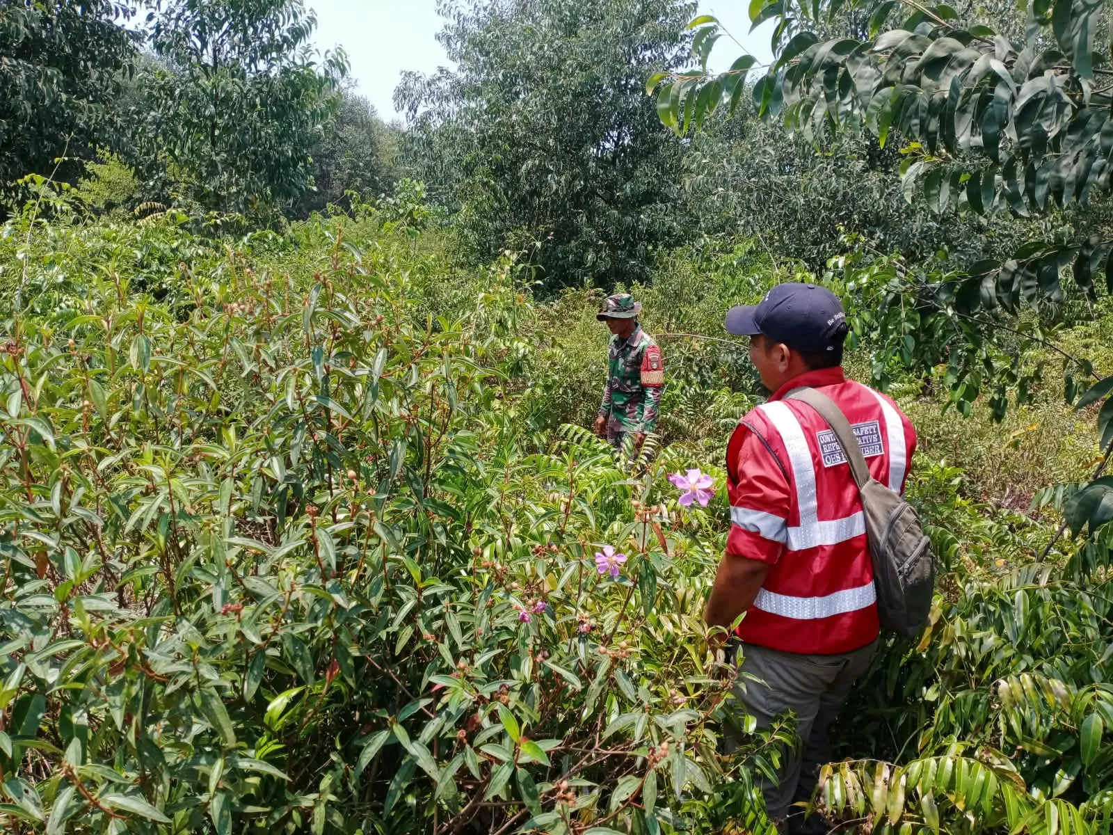 Babinsa Merbau Patroli Karhutla di Lahan Gambut Desa Lukit