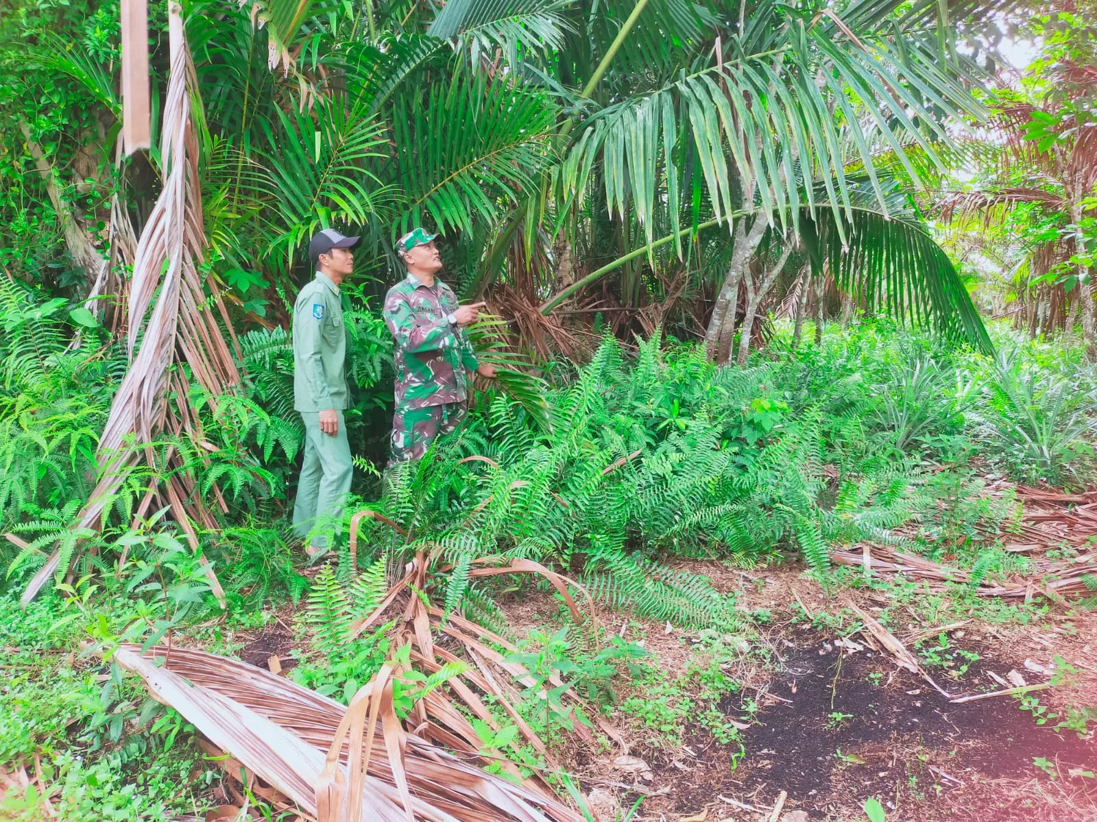 Cegah Karhutla Meluas, Babinsa dan Warga Patroli Kawasan Gambut Desa Baran Melintang