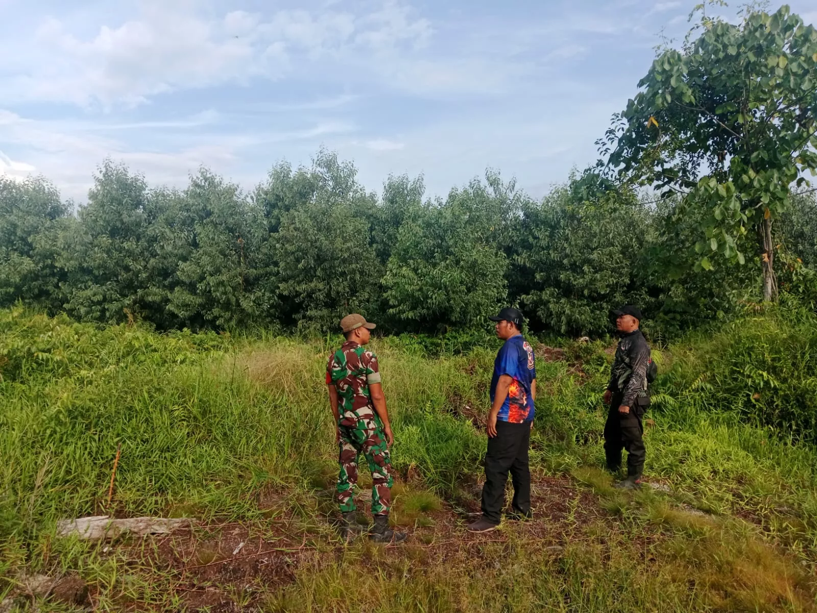 Patroli Karhutla di Mengkopot, Babinsa Temukan Kondisi Lahan Aman dari Titik Api