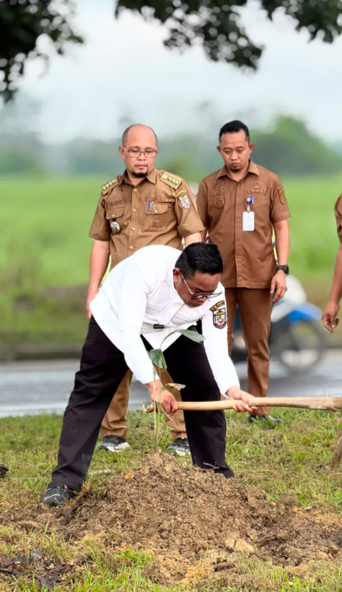 Bupati Zukri Pimpin Gerakan Tanam Aren, Pelalawan Siapkan Kota Hijau dan Bernilai Ekonomi