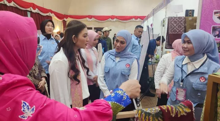 Dorong Produk Unggulan Pelalawan Tembus Pasar Nasional, Hj. Rohani Tamrin Hadiri Temu Ramah Dekranas