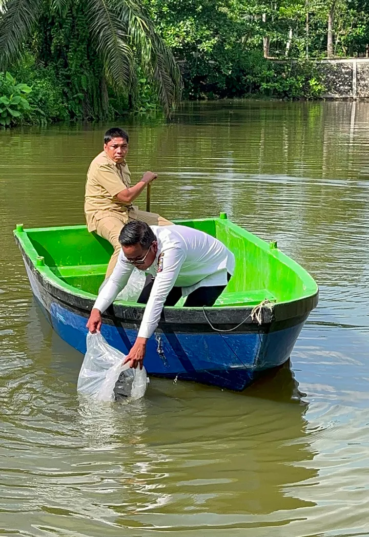 Bupati Lakukan Restocking 30 Ribu Bibit Ikan Patin di Kolam Samping PUPR