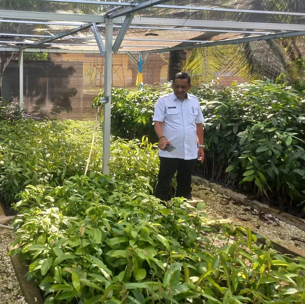 Sukseskan Pelalawan Sejuk, DLH Pelalawan Pacu Penghijauan Lewat Rumah Bibit 