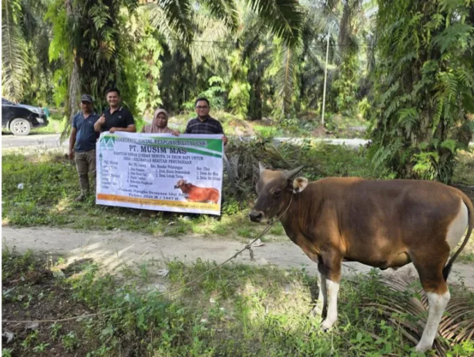 PT Musim Mas Salurkan 22 Ekor Sapi Qurban, Pererat Silaturahmi dengan Masyarakat Pelalawan