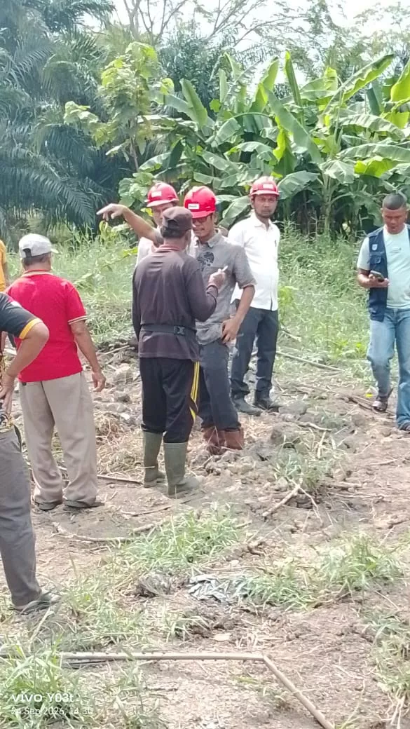 Ribuan Ikan Diduga Mati di Sungai Puing, DLH Siak Ambil Sampel Air di Sekitar PT SPS