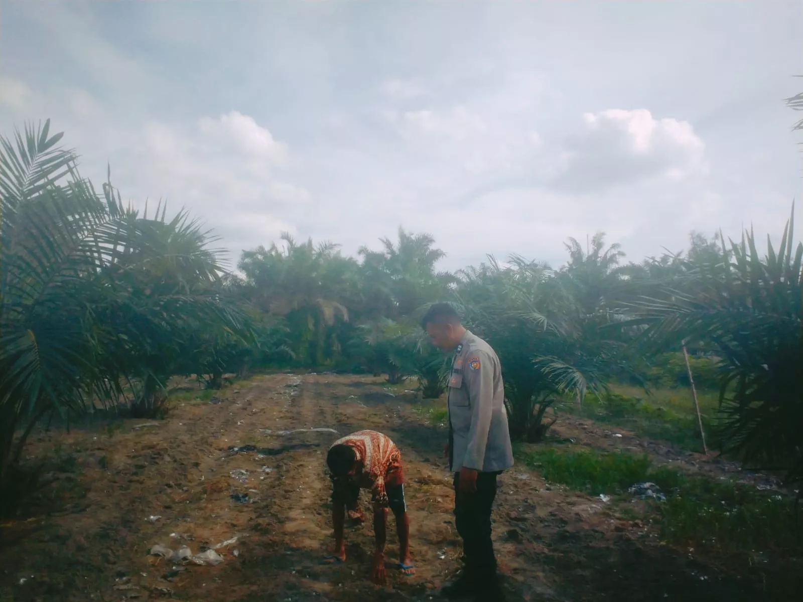 Bhabinkamtibmas Polsek Siak Ajak Petani Manfaatkan Lahan untuk Tanaman Jagung