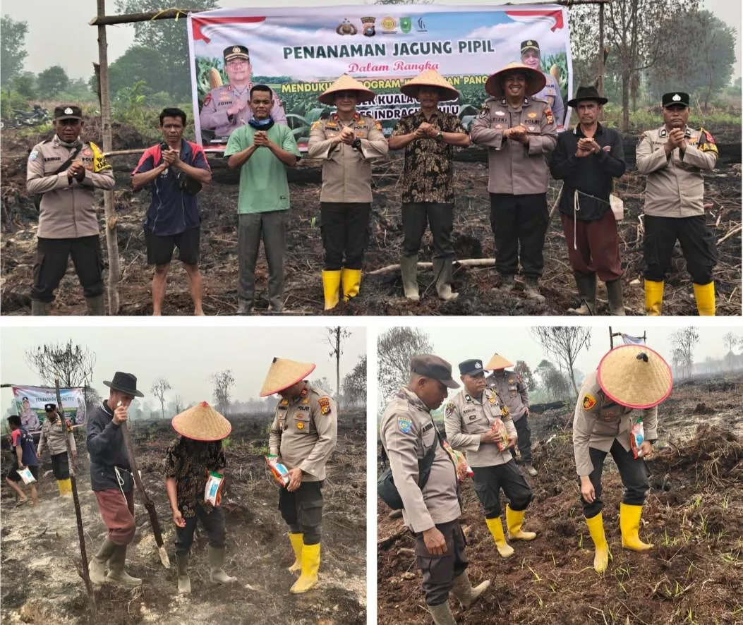 Sinergi Polisi dan Petani di Inhu, Penanaman Jagung Pipil Diharapkan Dongkrak Produktivitas