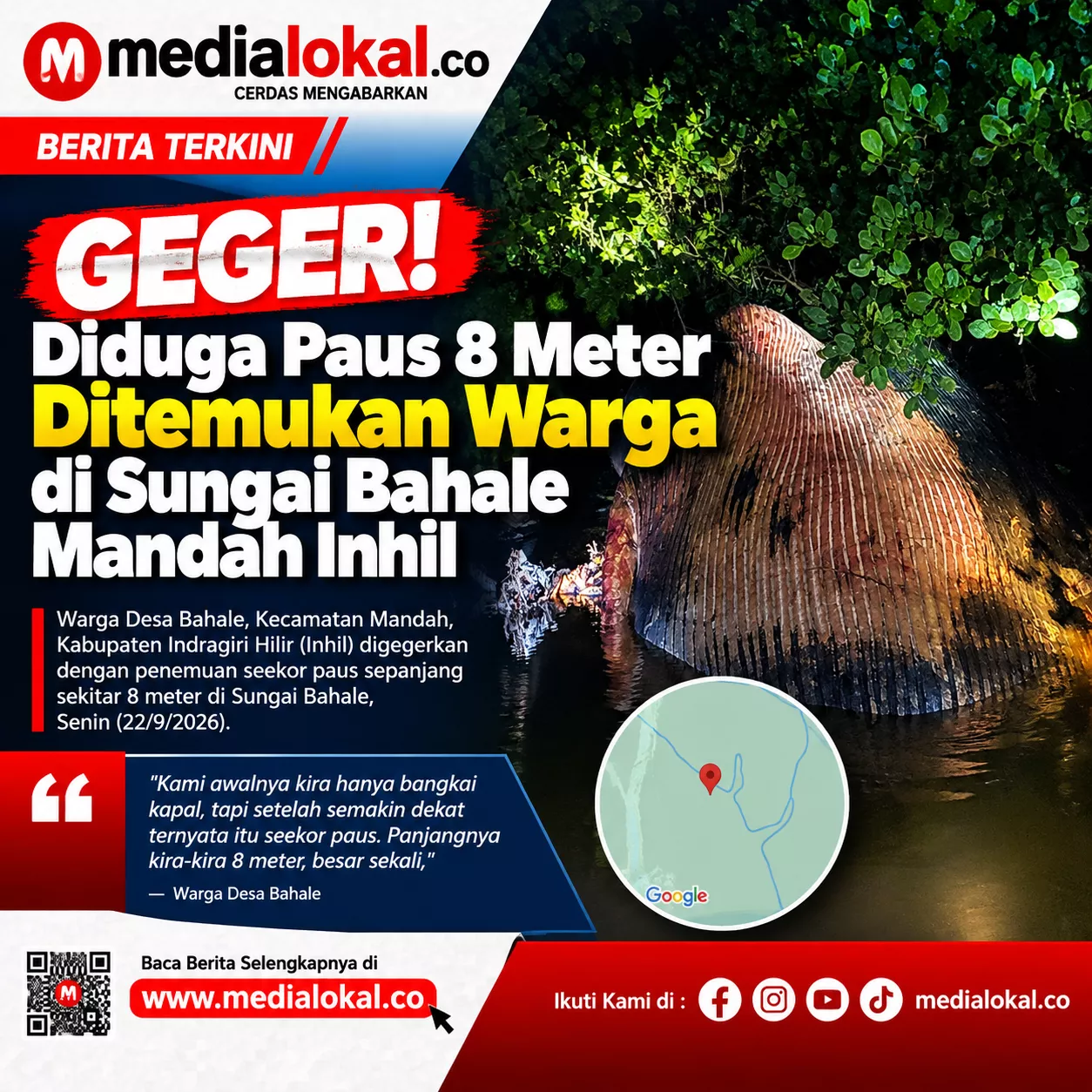 Bangkai Paus 8 Meter Terdampar di Pantai Bakau Indragiri Hilir