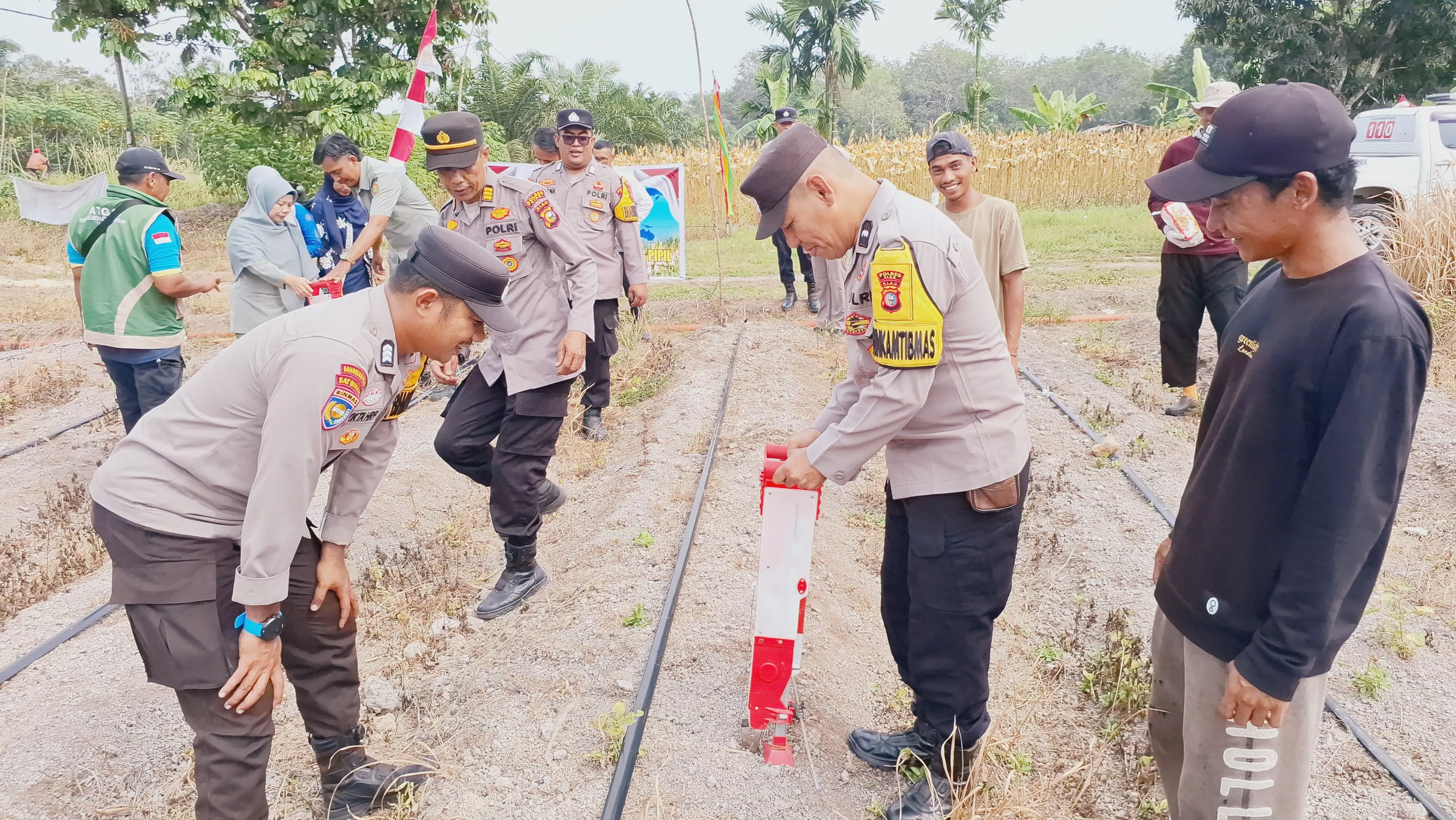 Polsek Siak Tanam Jagung Pipil Kuartal III, Dorong Ketahanan Pangan di Kampung Benteng Hilir