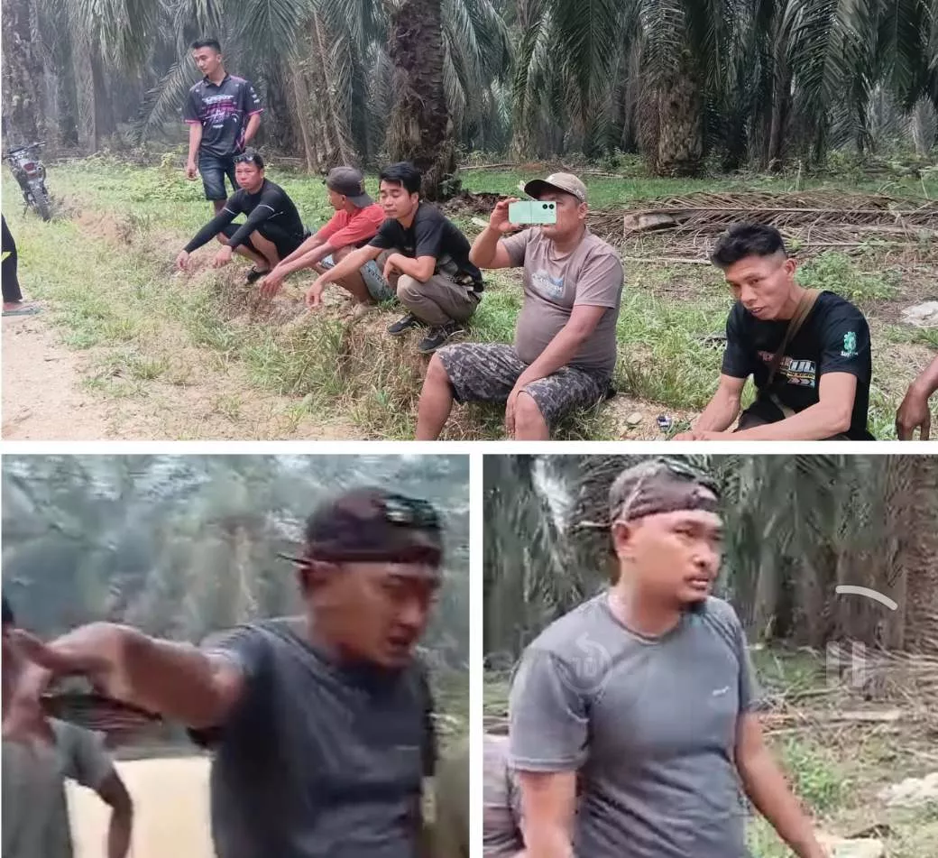 Dugaan Sanksi Rp25 Juta per Hektare, AMAN Inhu Desak Kepastian Status Eks PT SAL