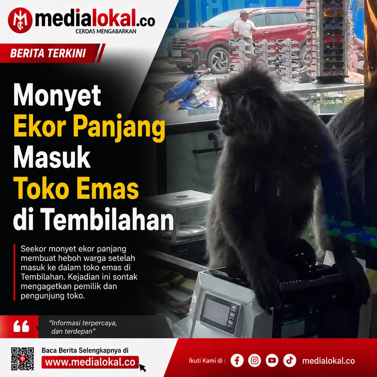 (VIDEO) Heboh! Monyet Ekor Panjang Masuk Toko Emas di Pusat Kota Tembilahan