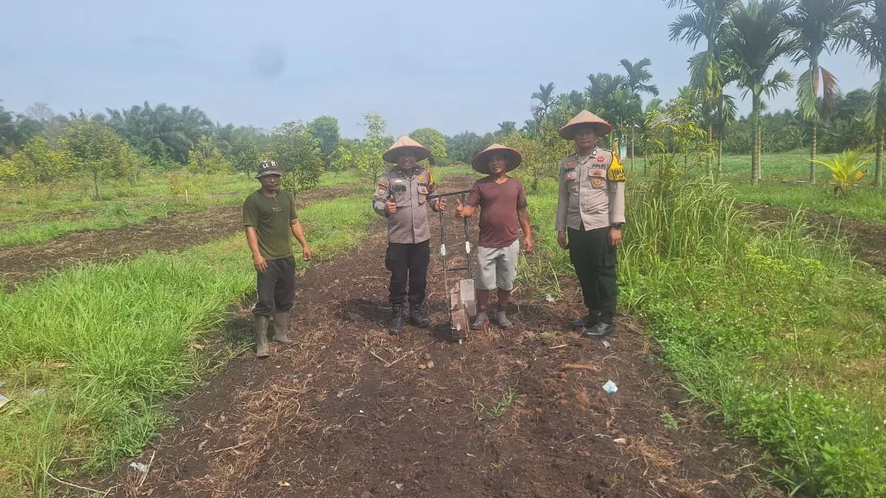 Polsek Koto Gasib Optimalkan Ketahanan Pangan dengan melalukan penanaman  Jagung Pipil