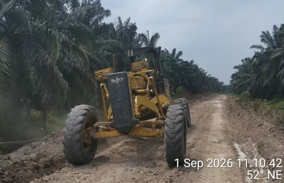 Jalan Kebun Terawat, PT PAS Mitra Agrinas Optimalkan Mobilitas dan Angkutan TBS