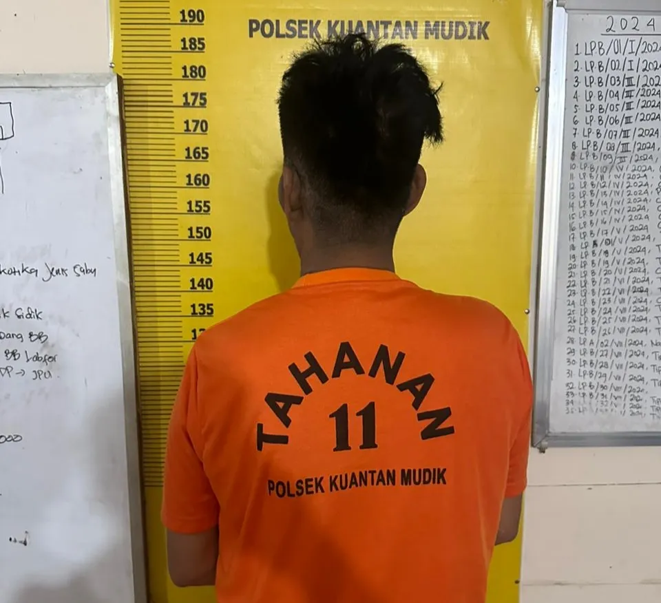 Digerebek di Rumah, Pengedar Sabu di Pulau Binjai Dibekuk Polsek Kuantan Mudik