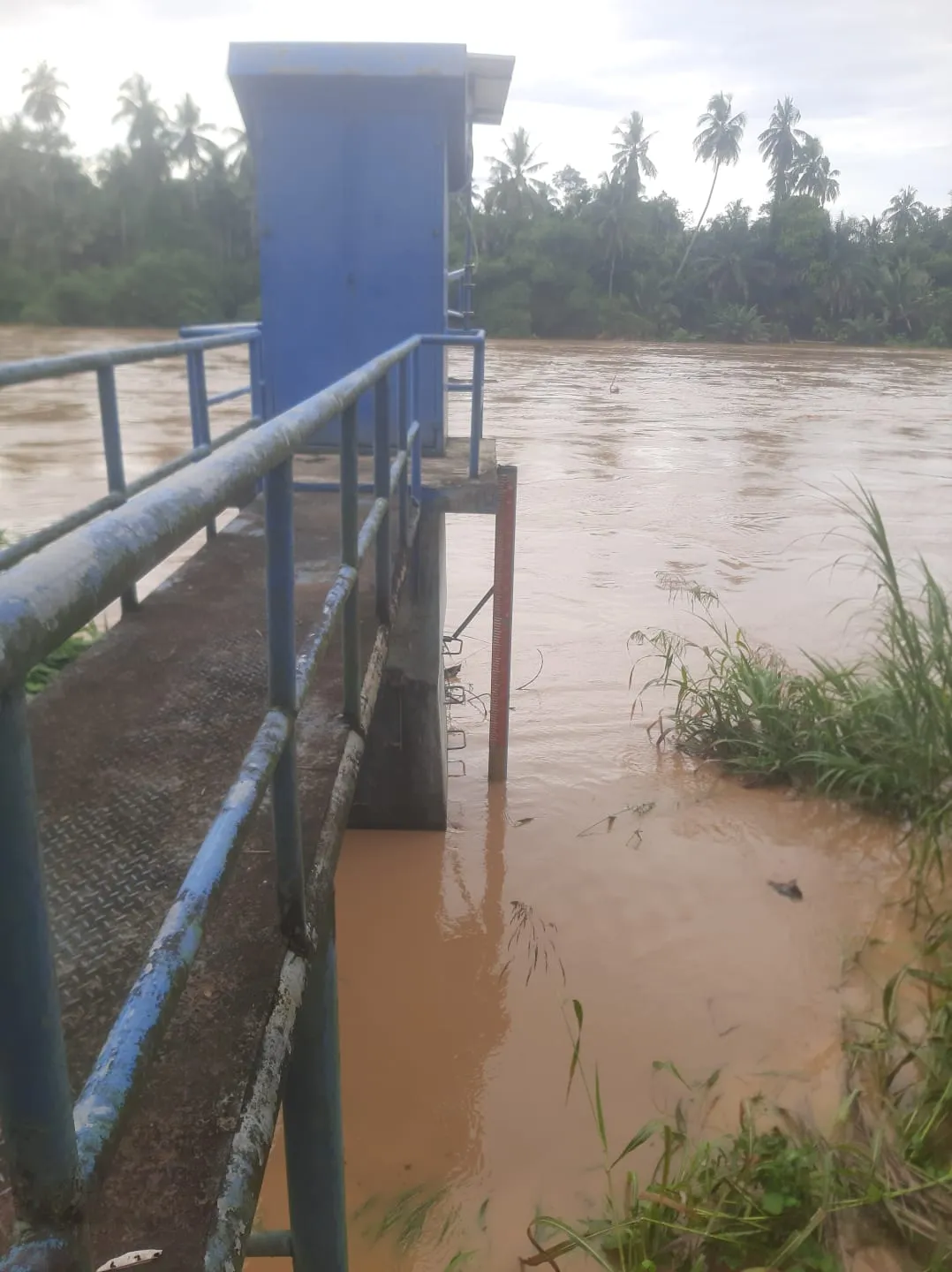 Bupati Suhardiman Instruksikan Camat dan Kades Siaga Banjir, Debit Sungai Kuantan Mendekati Zona Merah