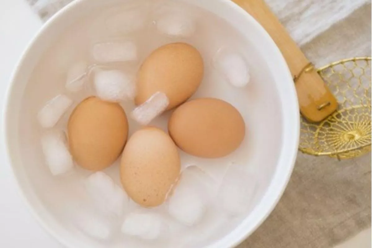 Rahasia Fungsi Air Es Untuk Telur Rebus dan Metode Shock Thermal
