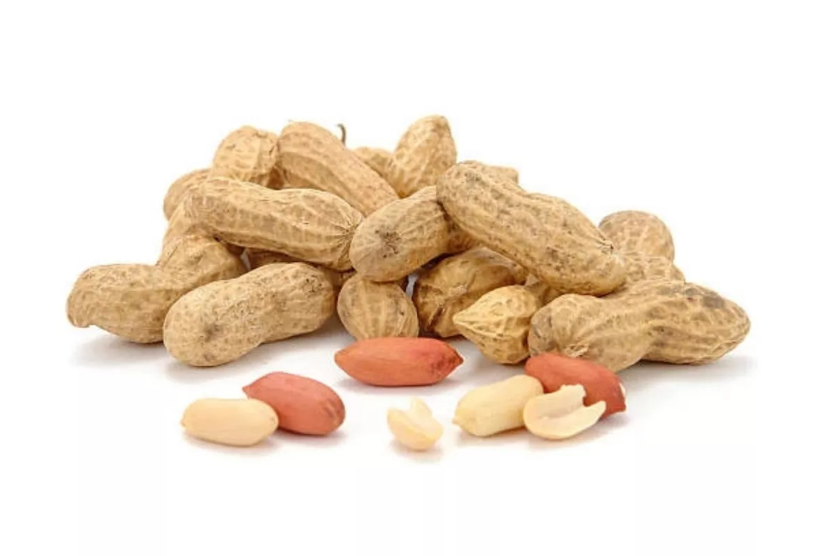 Tips Cara Menyangrai Kacang Tanah yang Benar Agar Aroma Lebih Keluar