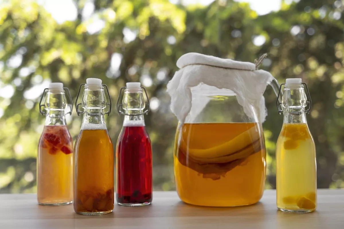 Apakah Kombucha Halal? Penjelasan dari Sisi Sains dan Syariah