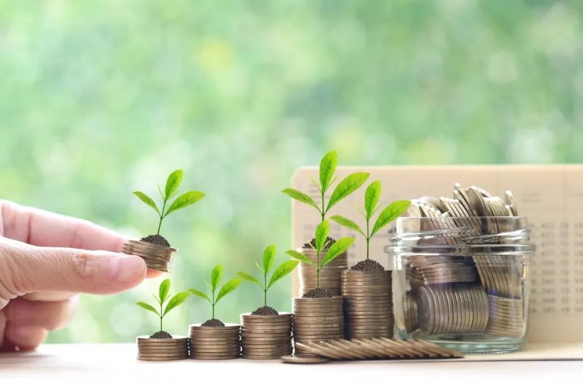 Panduan Memilih Reksa Dana Pasar Uang Modal Awal Pemula