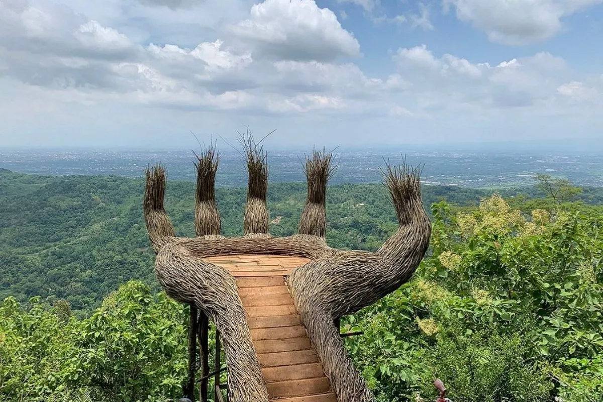 Rekomendasi Hutan Pinus Sunyi di Jogja selain Mangunan untuk Self-Healing