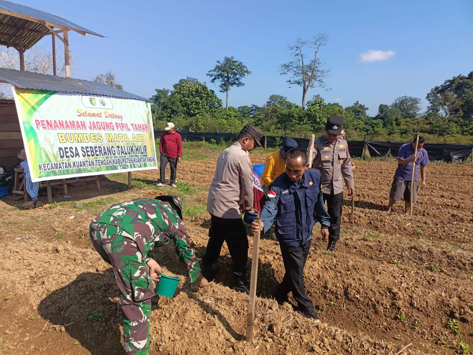 Kapolres Kuansing Dukung Penanaman Jagung Pipil di Seberang Taluk Hilir untuk Perkuat Ketahanan Pangan