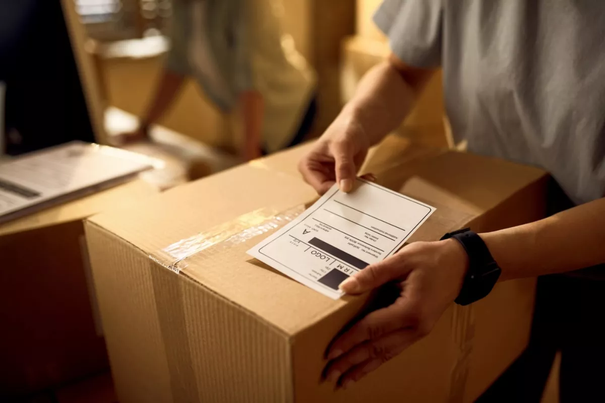 Rincian Estimasi Modal Awal Jasa Logistik Terkini