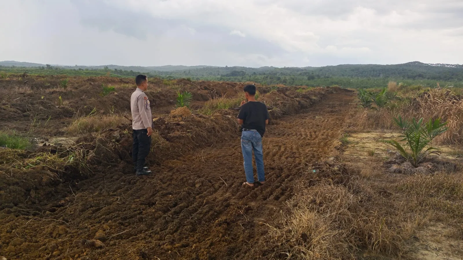 Dukung Swasembada Pangan 2026, Polsek Kuantan Mudik Tinjau Lahan Penanaman Jagung Pipil