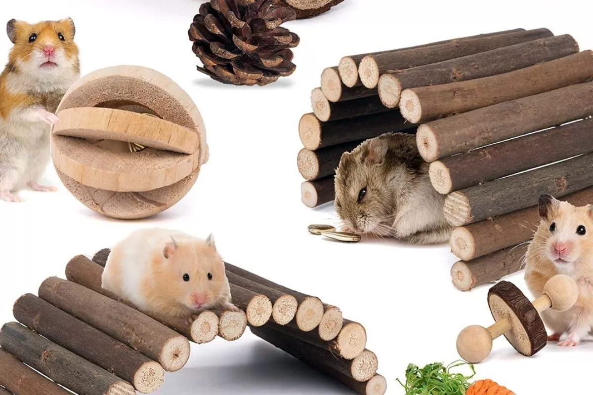 Rekomendasi Mainan DIY untuk Hamster Makin Aktif dan tidak Gampang Stres