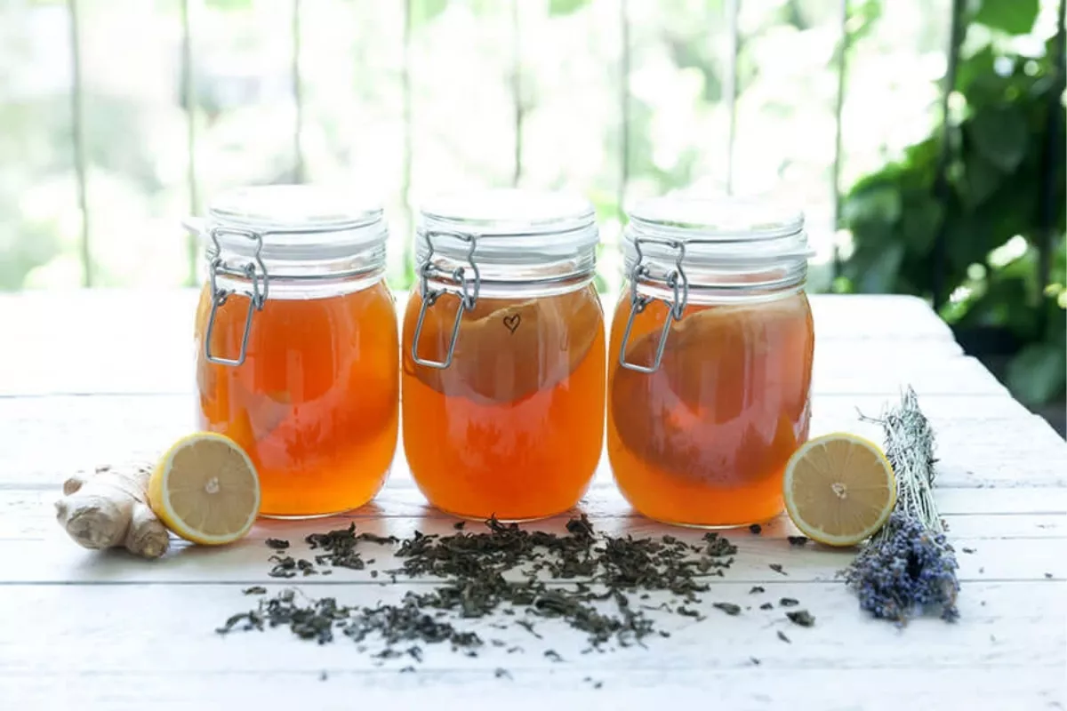 Teknik Fermentasi Kombucha untuk Menekan Produksi Etanol