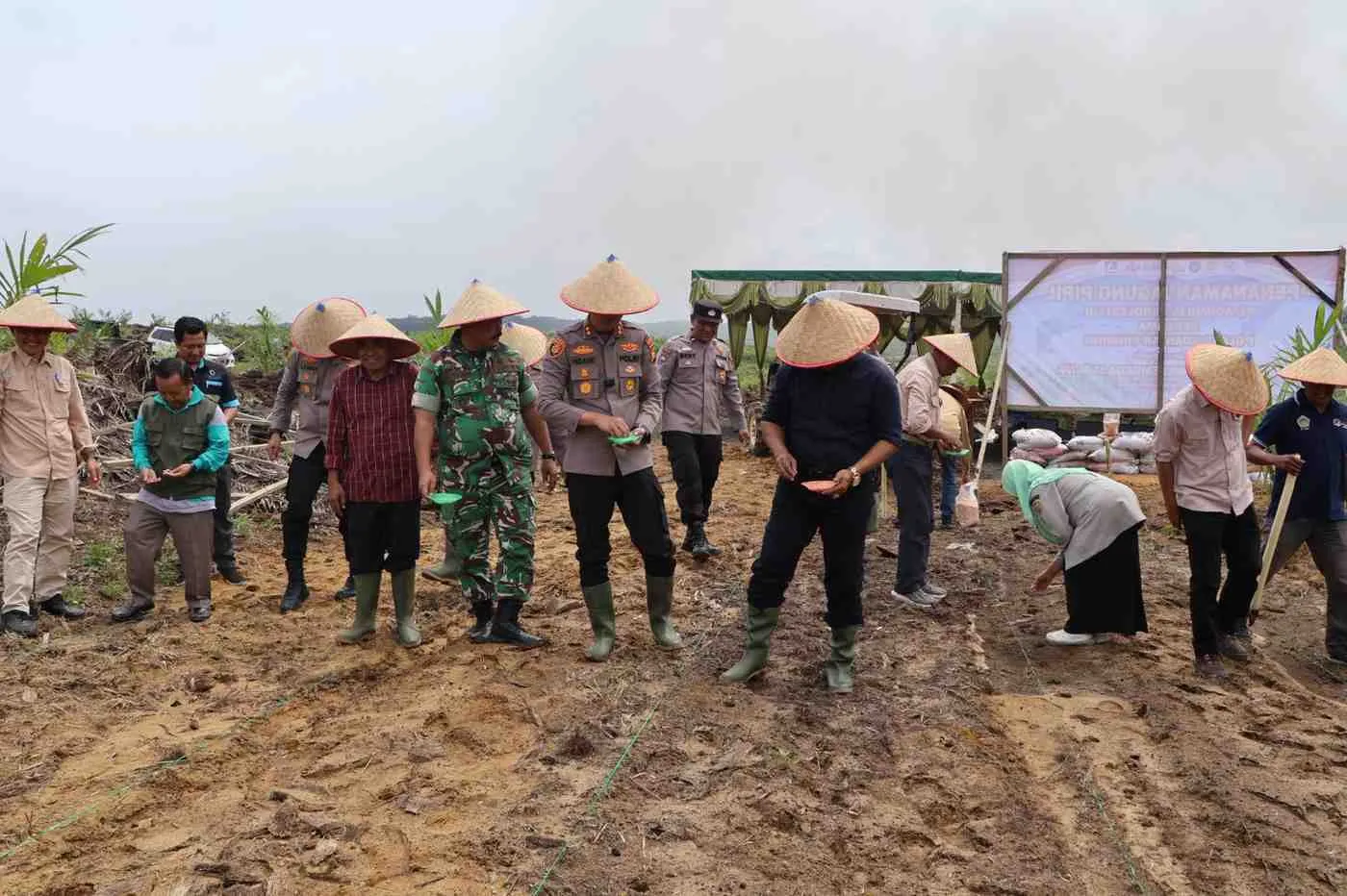 Dukung Ketahanan Pangan Nasional, Polres Kuansing Tanam Jagung 10 Hektar di Lahan PT Adimulia Agrolestari