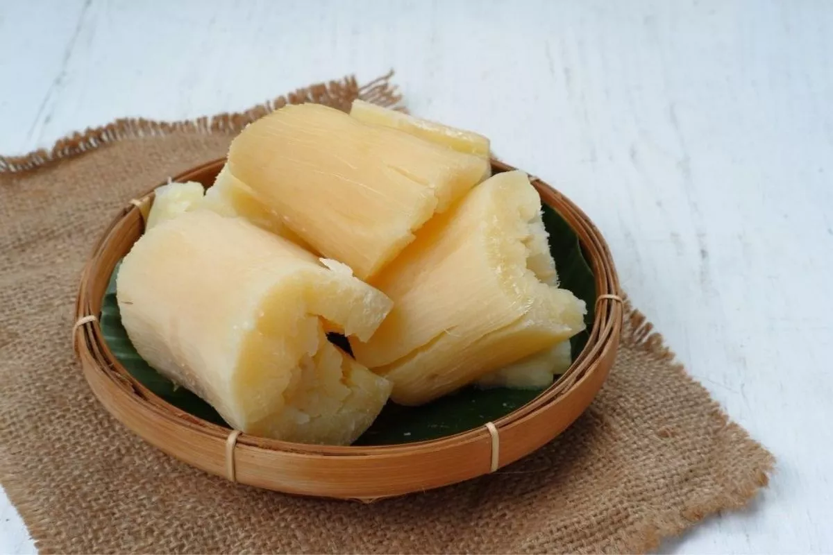 Aneka Resep Olahan Singkong Kukus dan Rebus untuk Diet Rendah Kalori