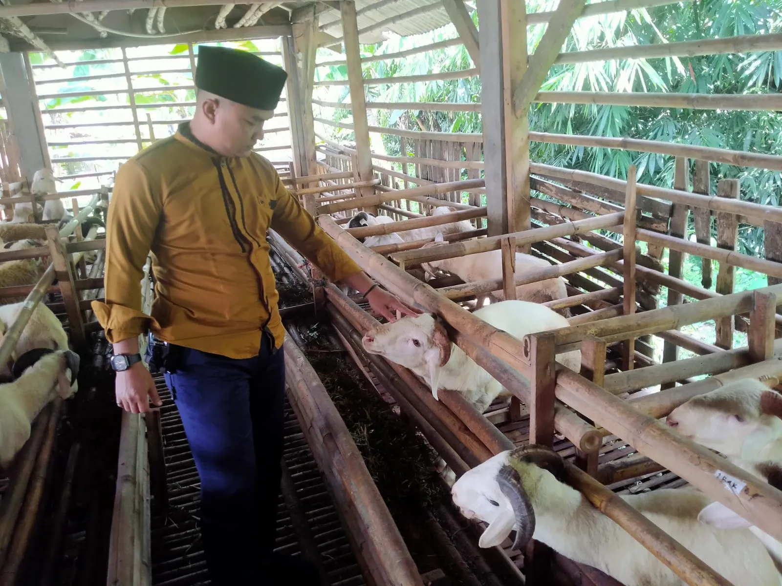 DKM Al Mukhlishin Cibanteng Jalin Kerjasama dengan Saung Qurban Hadapi Idul Adha 1447 H