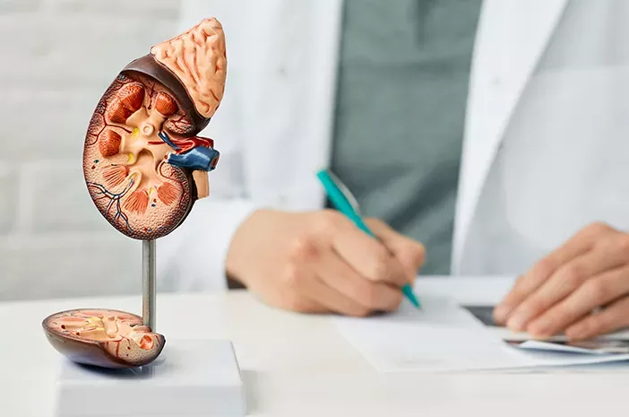 Tips Menjaga Kesehatan Ginjal dan Mencegah Risiko Gagal Ginjal