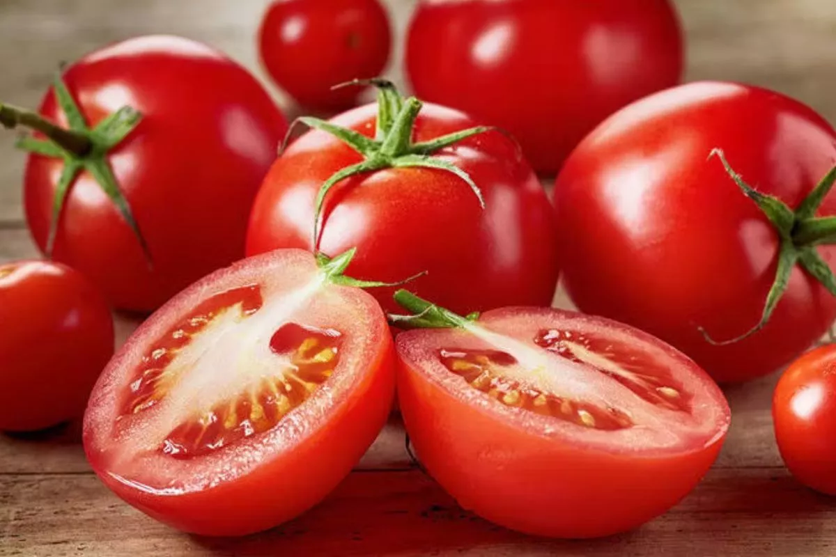 Intip 7 Daftar Makanan Super untuk Mencegah Kerutan
