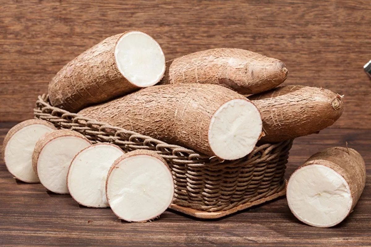 6 Jenis Singkong Terbaik untuk Keripik Renyah dan Gurih