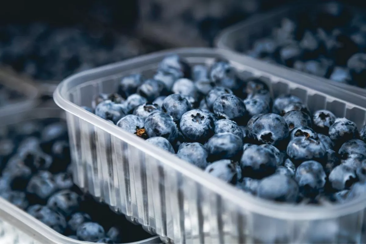 Tips Terbaik Mengolah Blueberry yang Mulai Lembek Agar Tidak Mubazir