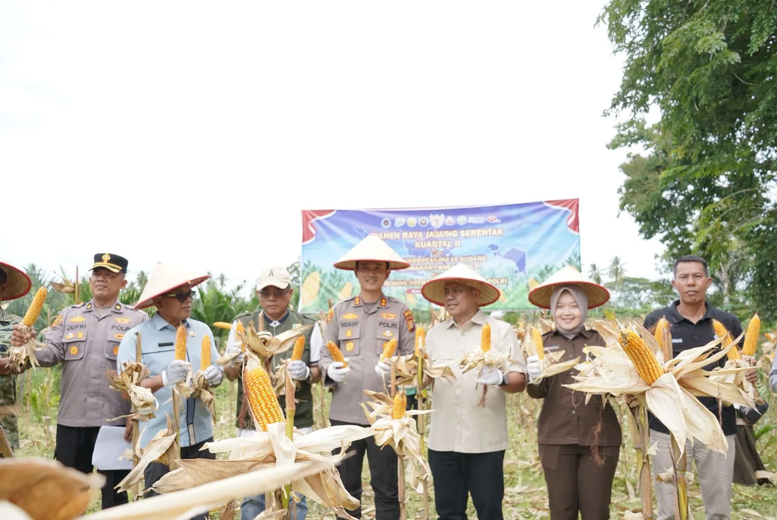Kapolres Kuansing Bersama Forkopimda Gelar Panen Raya Jagung Serentak Dukung Ketahanan Pangan