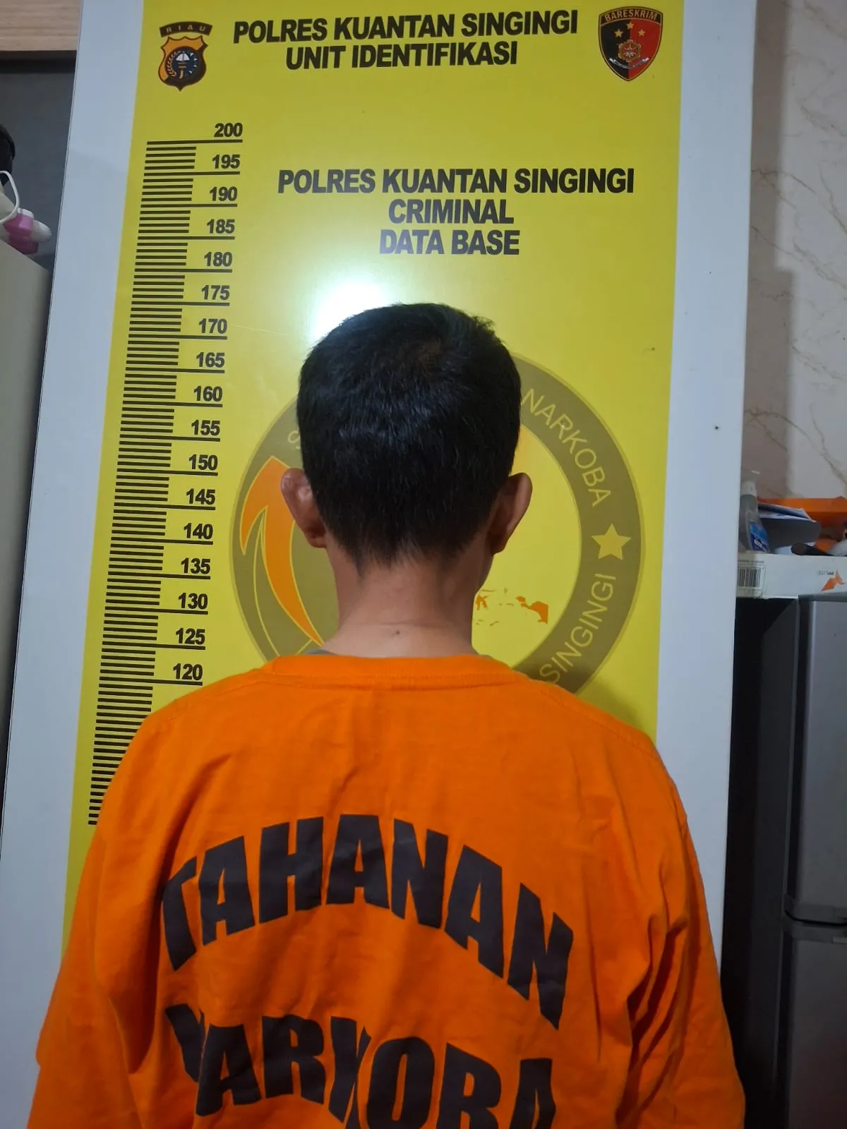 Tim Elang Kuantan Ungkap Peredaran Ganja, Seorang Perempuan Diamankan dengan berat kotor 64,85 Gram Barang Bukti