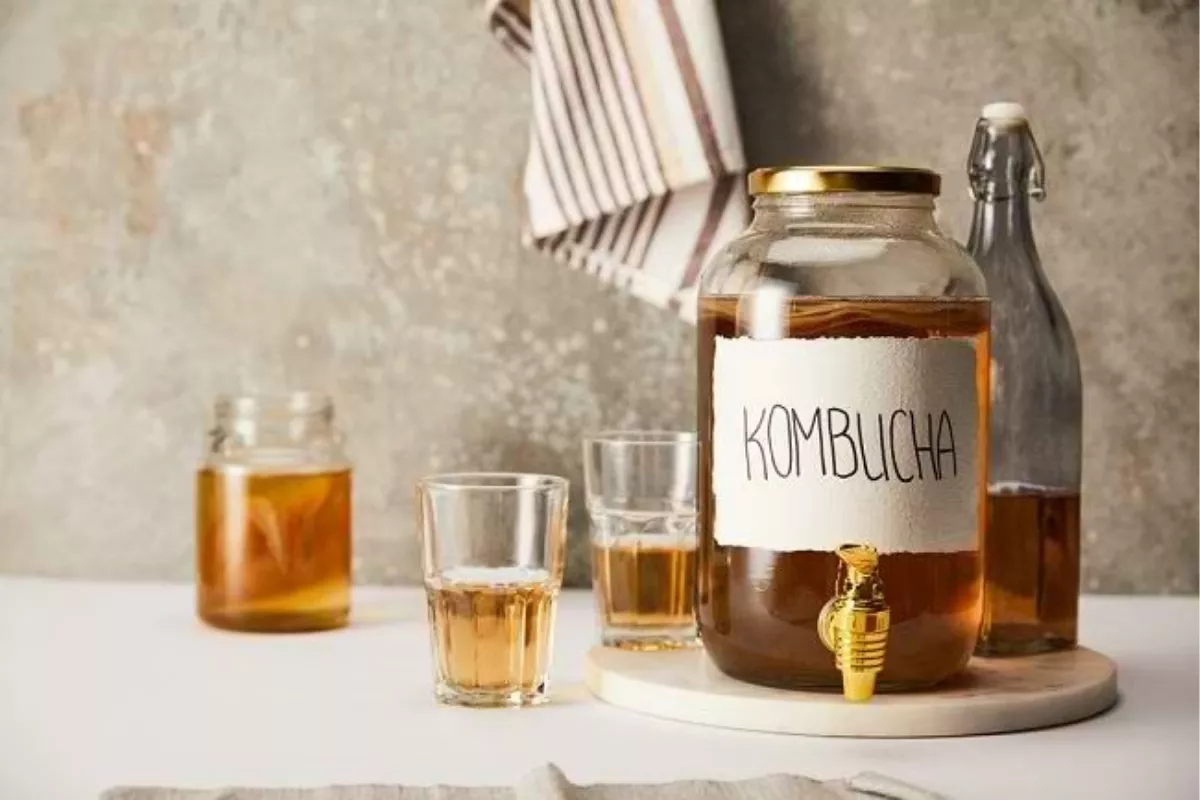 Panduan Memilih Bahan Baku Kombucha yang 100 persen Halal