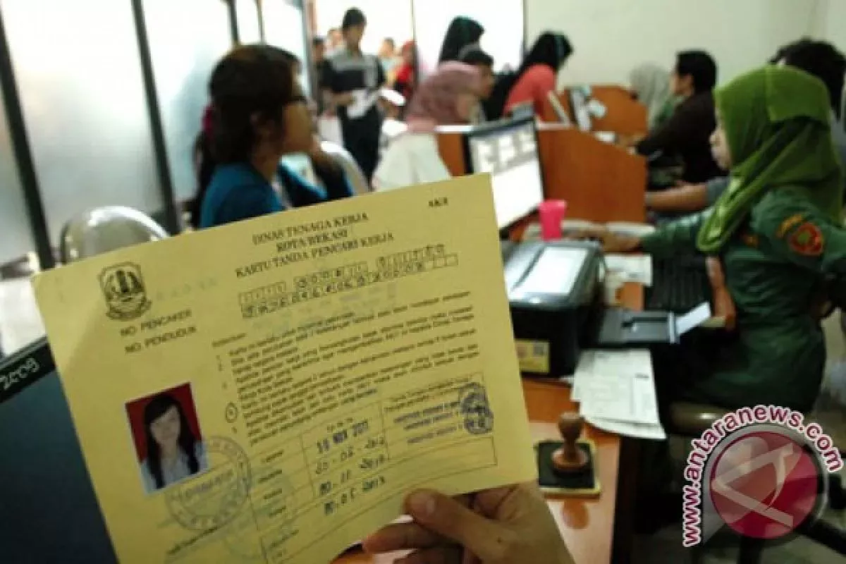 Cara dan Syarat Membuat Kartu Kuning AK1 untuk Lamar Kerja