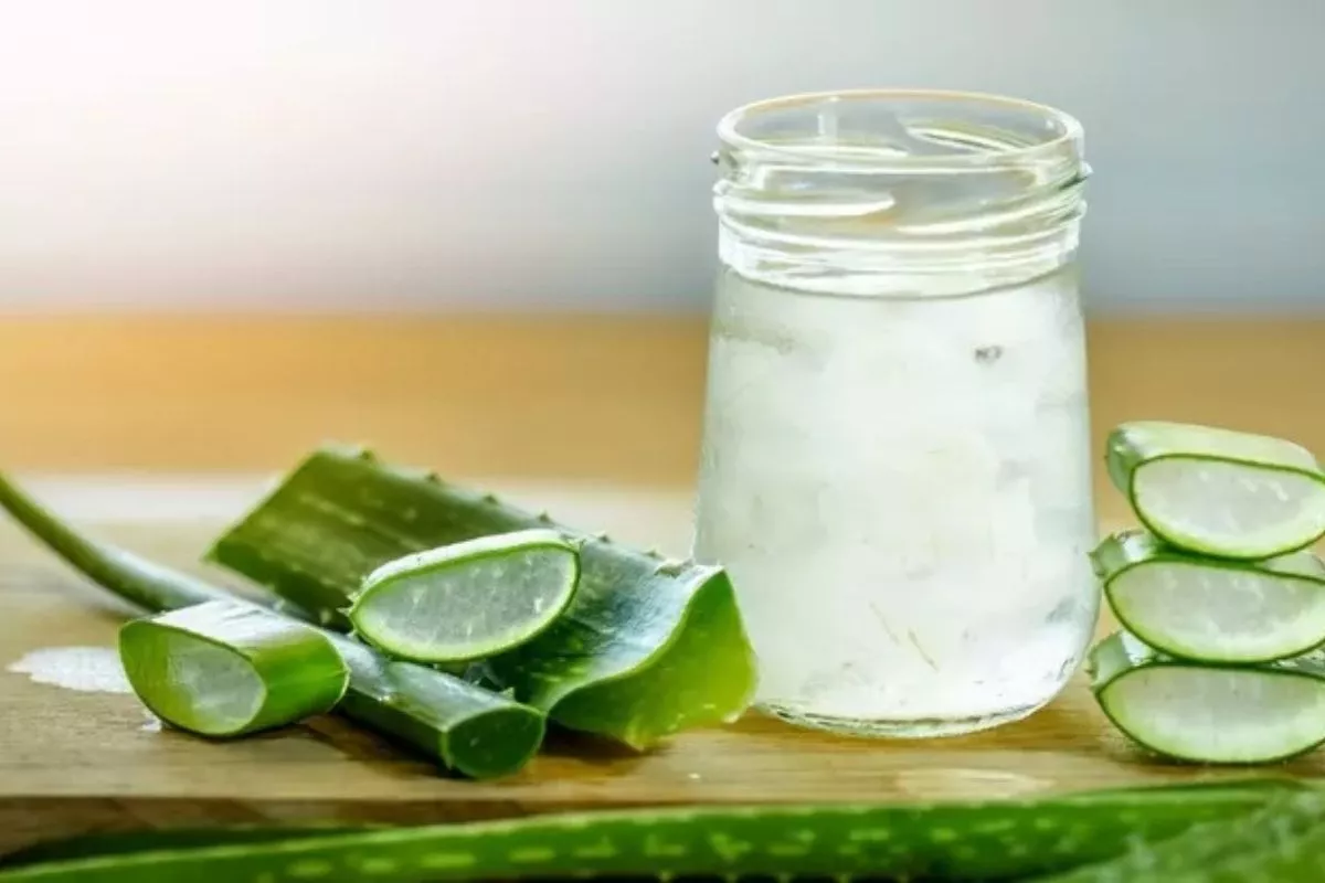Cara Mengawetkan Gel Lidah Buaya Alami dengan Vitamin C dan E