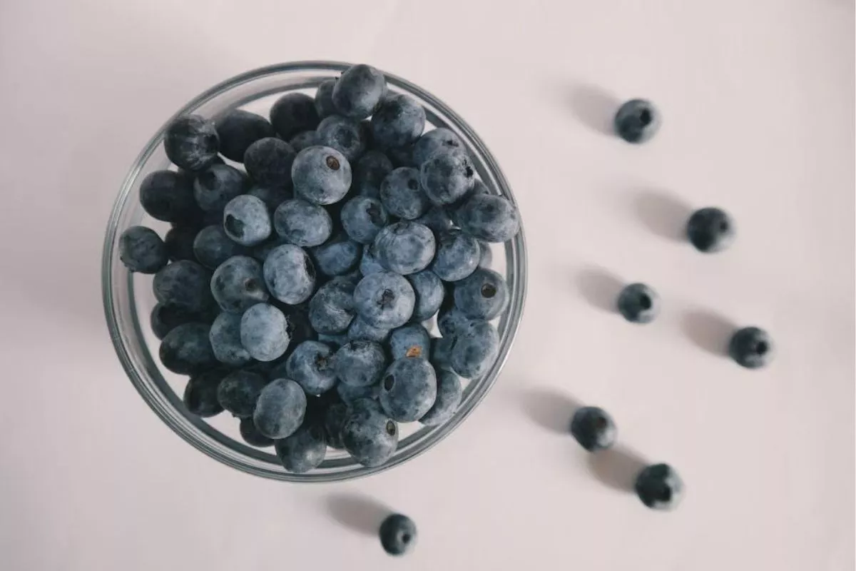 Panduan Cara Menyimpan Blueberry Agar Tidak Cepat Lembek dan Berjamur