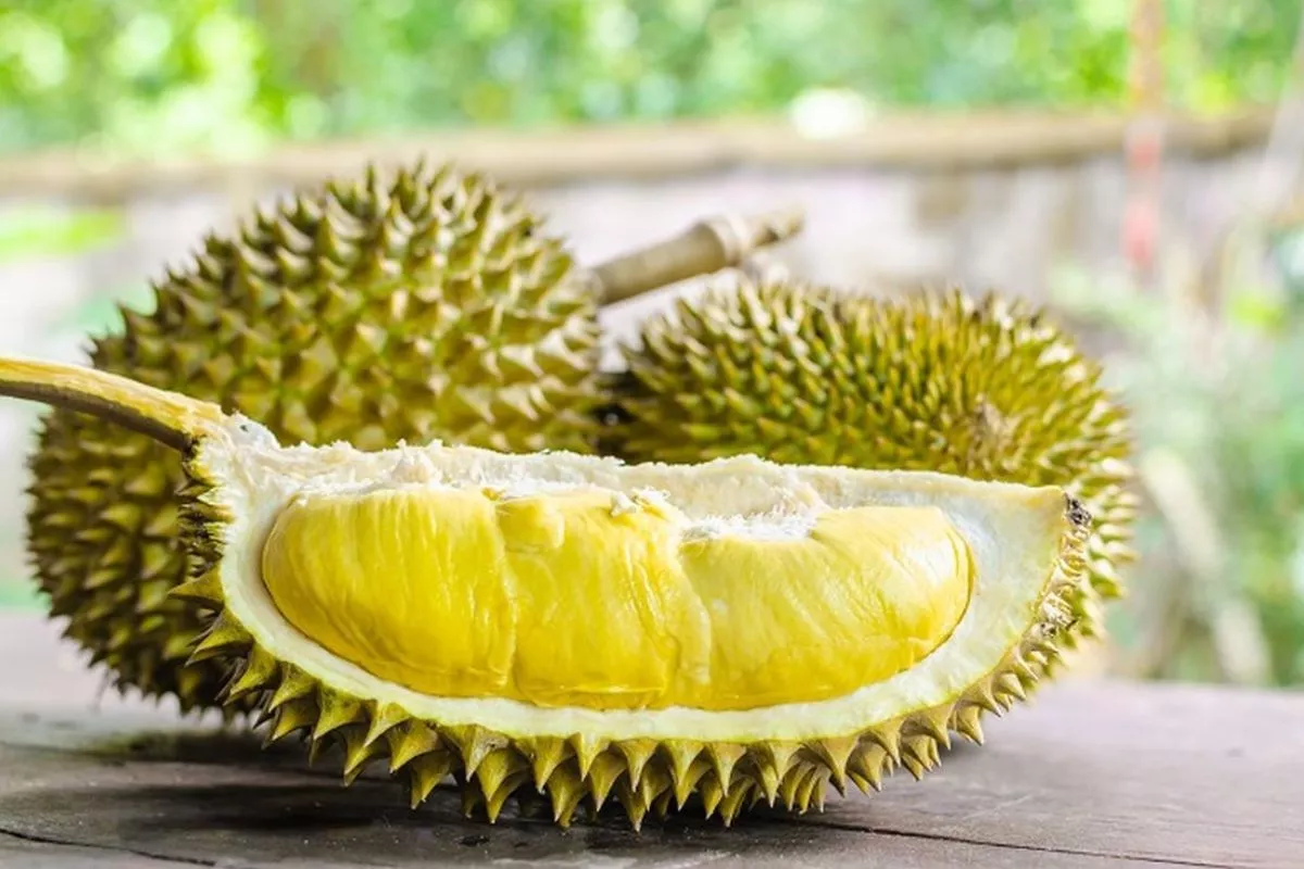 Jangan Tertipu! Ini Rahasia Tips Memilih Durian Matang yang Legit