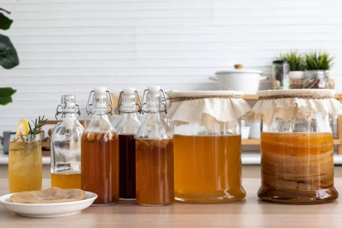 Cara Membuat Kombucha Halal: Panduan Lengkap untuk Pemula
