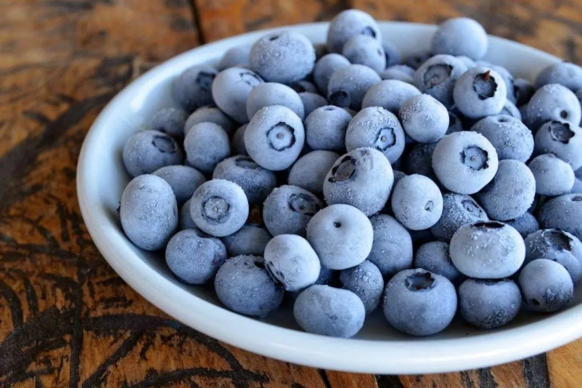 Cara Membekukan Blueberry di Freezer Agar Awet dan Tetap Segar