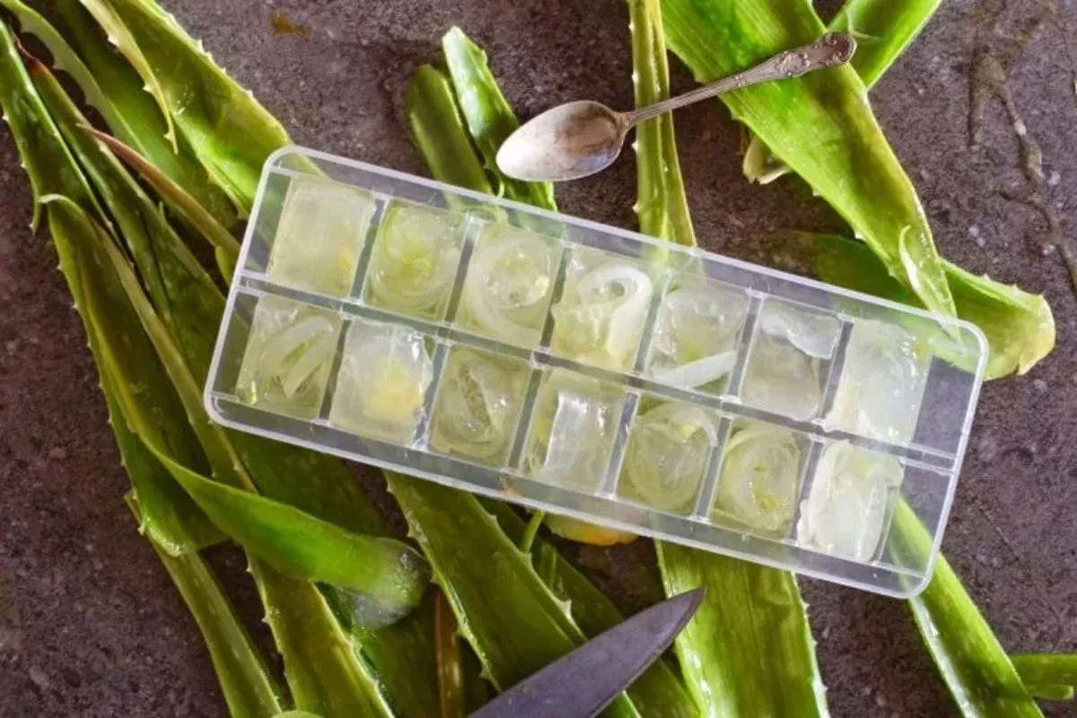 Cara Membuat Gelas Gel Lidah Buaya Beku untuk Wajah, Mudah Sekali!