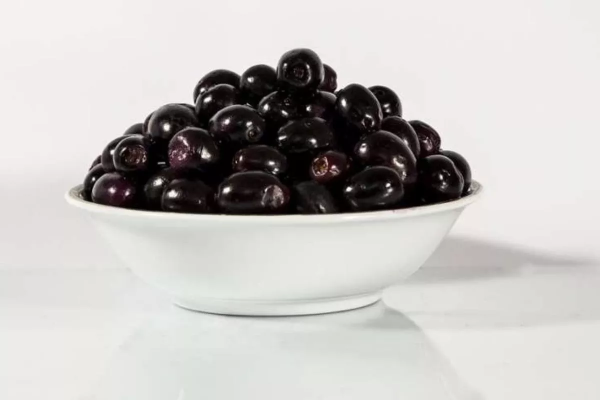 Waspadai Efek Samping dan Bahaya Konsumsi Berlebihan Buah Duwet
