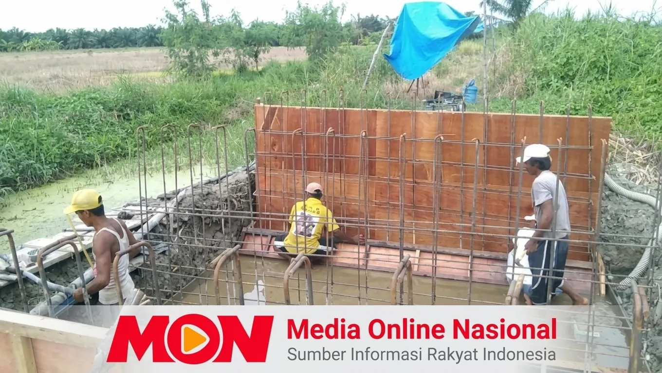 Menelusuri Proyek Box Culvert di Hutan Bagan Punak Pesisir: Antara Kebutuhan Petani atau Proyek Siluman?