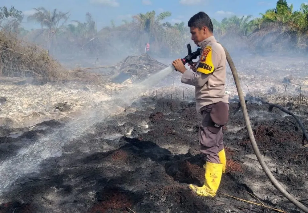 Riau Resmi Siaga Darurat Karhutla, Berlaku 13 Februari–30 November 2026