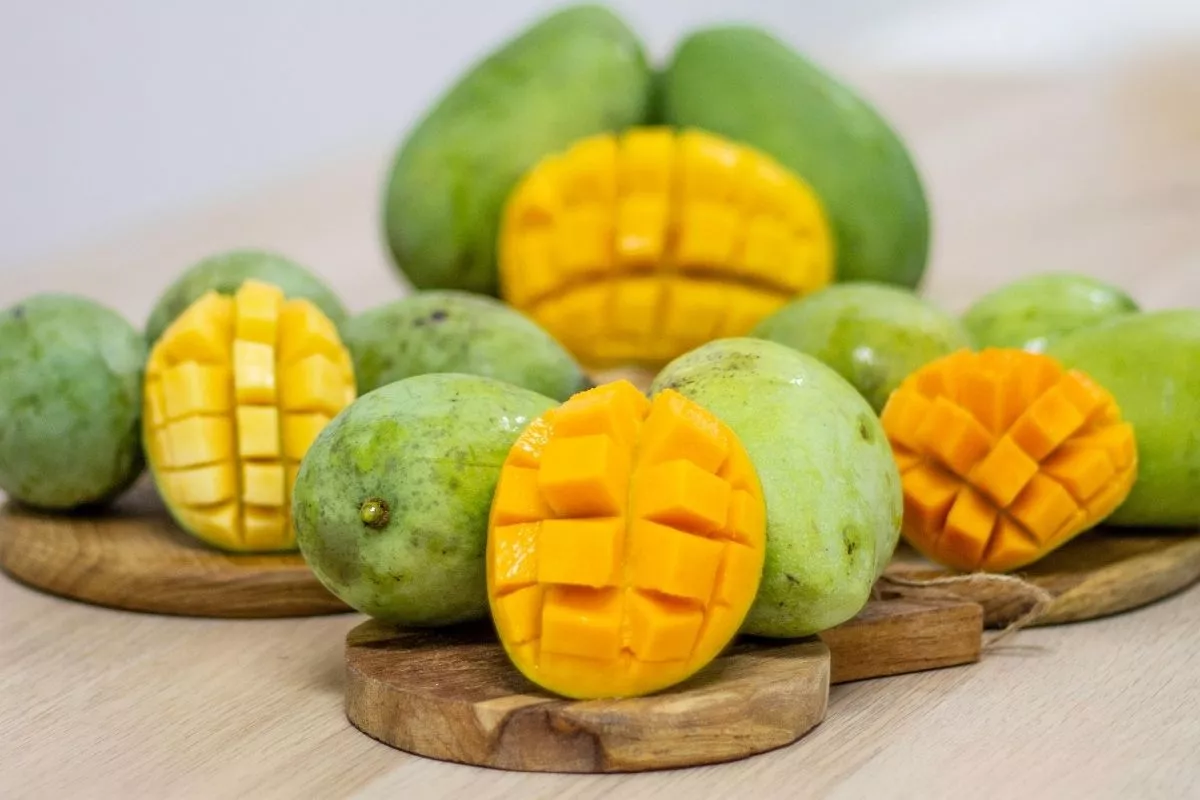 5 Jenis Mangga yang Paling Cocok untuk Diolah Jadi Kue dan Dessert